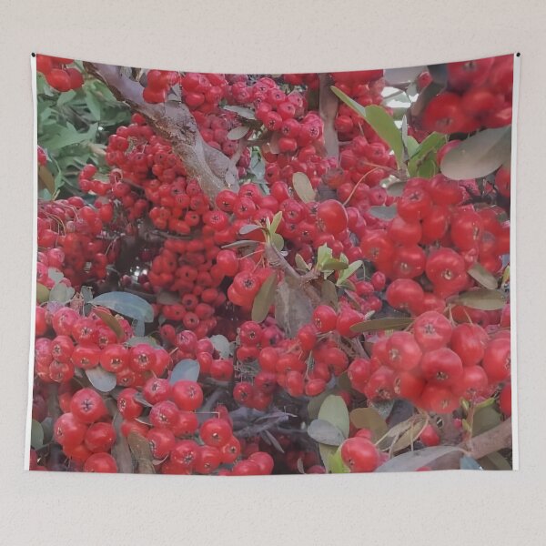 Item preview, Deep red fruit designed and sold by Luccianos.