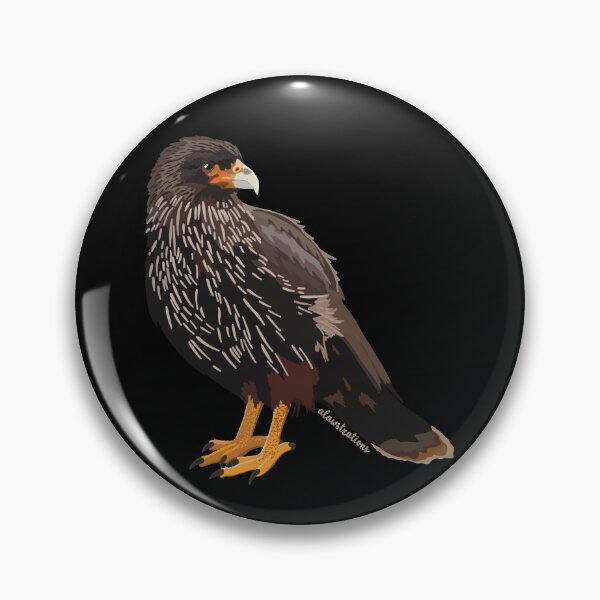 Item preview, Striated Cara Cara (Phalcoboenus australis) designed and sold by Alawstrations.