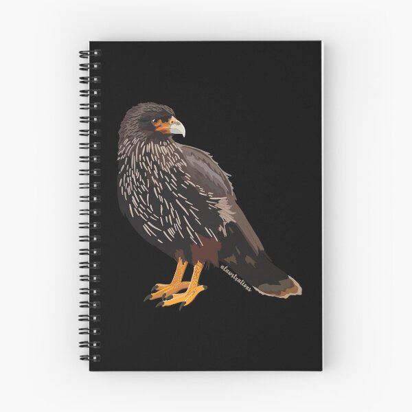 Item preview, Striated Cara Cara (Phalcoboenus australis) designed and sold by Alawstrations.