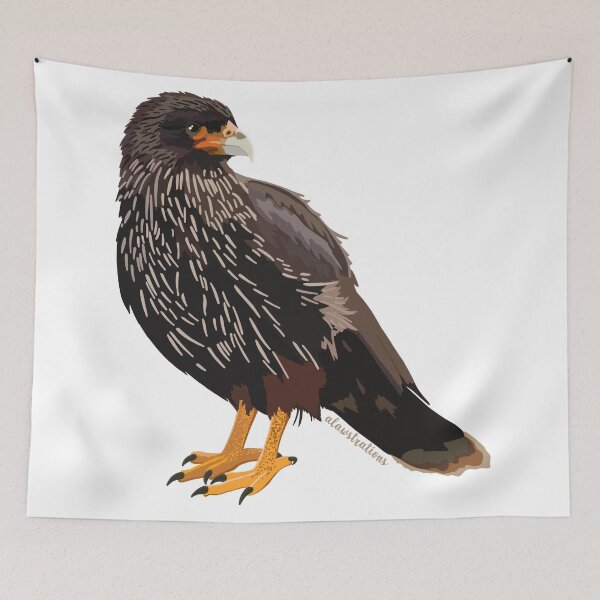 Item preview, Striated Cara Cara (Phalcoboenus australis) designed and sold by Alawstrations.
