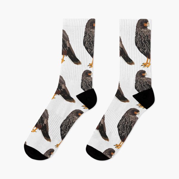 Item preview, Striated Cara Cara (Phalcoboenus australis) designed and sold by Alawstrations.