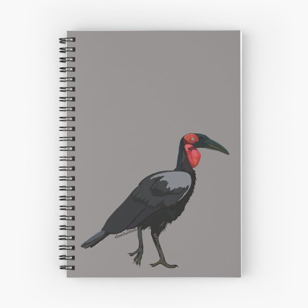 Item preview, Southern Ground Hornbill (Bucorvus leadbeateri) designed and sold by Alawstrations.