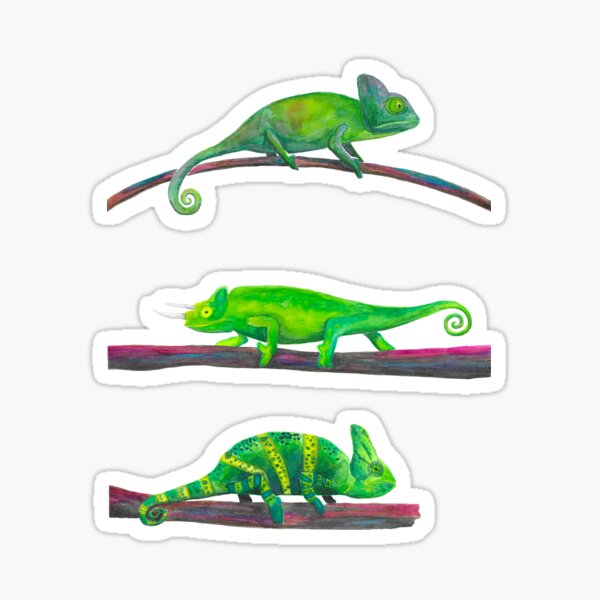 Watercolor Green Chameleons Sticker