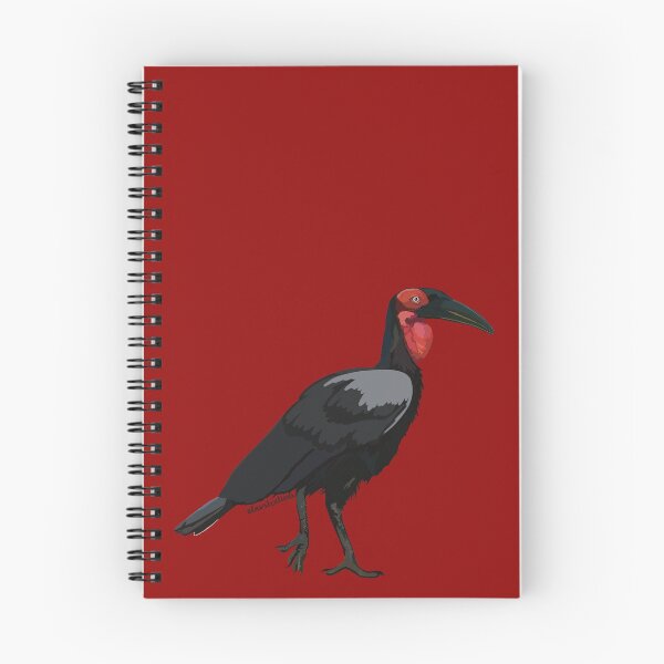 Item preview, Southern Ground Hornbill (Bucorvus leadbeateri) designed and sold by Alawstrations.