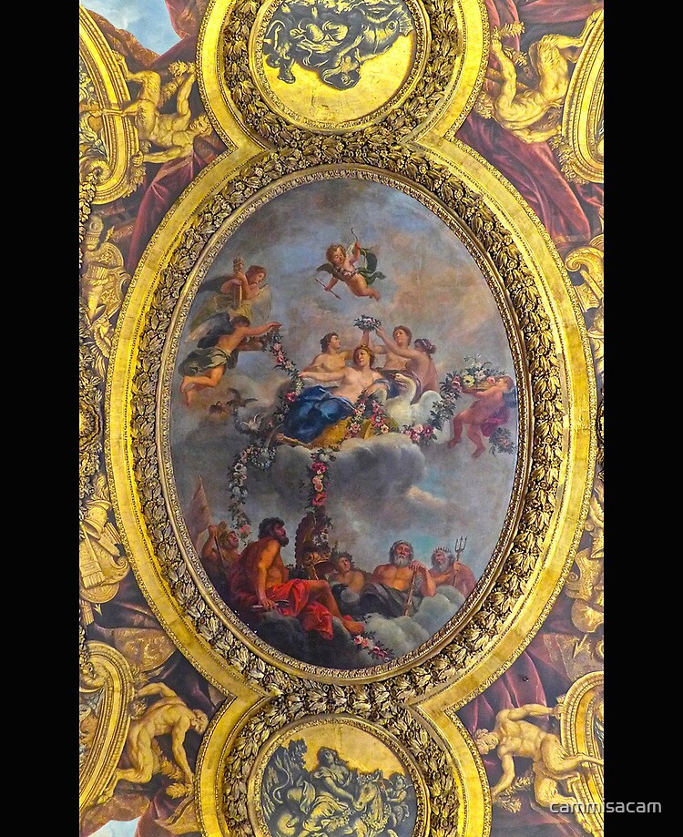 Versailles Ceiling Mural Detail Ipad Case Skin