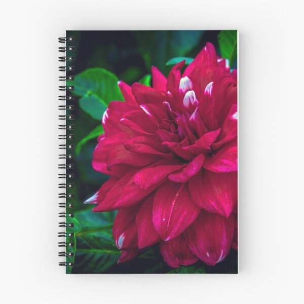 Item preview, Full Red Bloom designed and sold by Steven Jodoin.