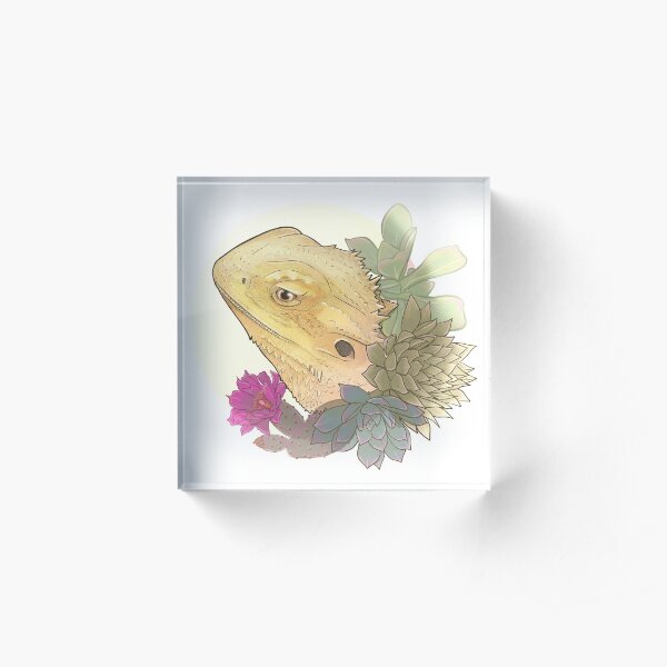 Bearded Dragon Succulents Acrylic Block