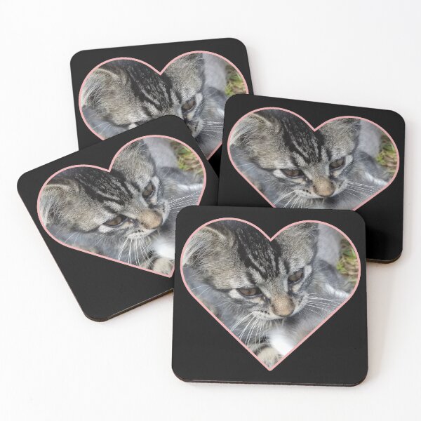 Item preview, Cute Barn Kitten Jaxon, Kitten in Heart designed and sold by f2error.