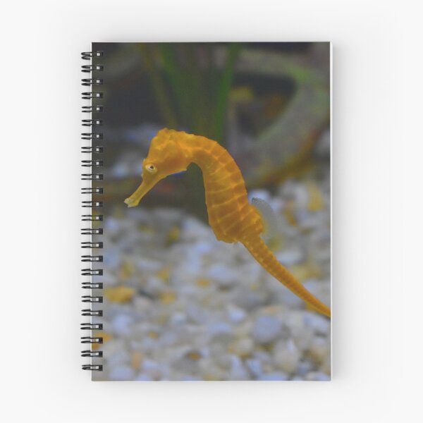 Item preview, Seahorse swimming in an aquarium designed and sold by Krhoads799.