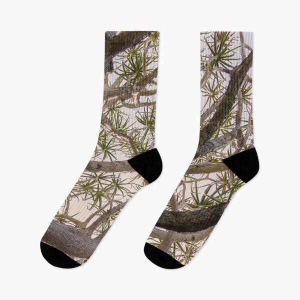 Item preview, Complex, dramatic, multidimensional, inspiring natural tree aloe image. designed and sold by UrTops.