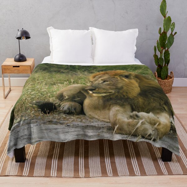 Item preview, Lion on Safari. Zimbabwe, South Africa. designed and sold by KarenZuk.