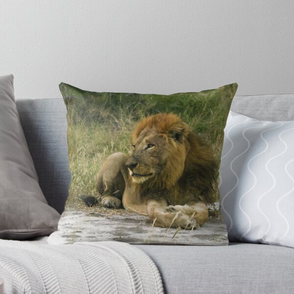 Item preview, Lion on Safari. Zimbabwe, South Africa. designed and sold by KarenZuk.