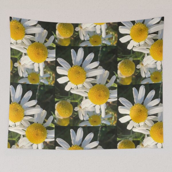 Item preview, Shasta Daisies Wild Nature designed and sold by Kaushal Pal.