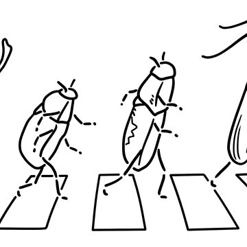 Artwork thumbnail, Beetles Beatles by a-meridiem