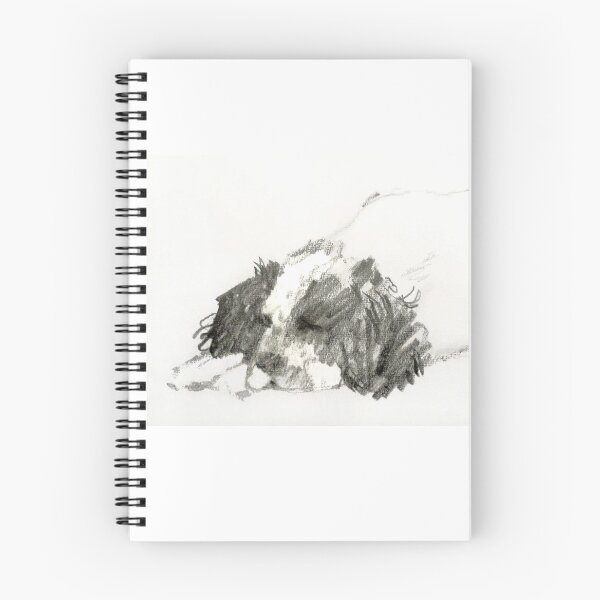 Item preview, Champ snoozing designed and sold by Roz McQuillan Fine Art & Photography.