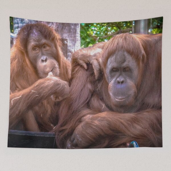 Item preview, The Naughty Orangutan designed and sold by Steven Jodoin.