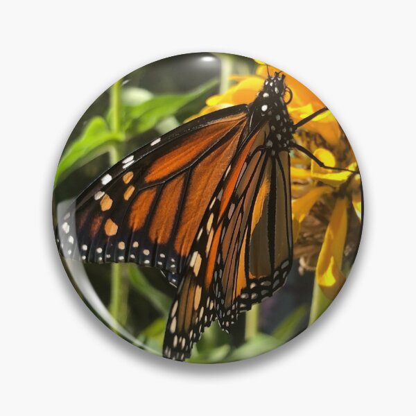 Item preview, Butterflies Are Insects Nature designed and sold by Kaushal Pal.