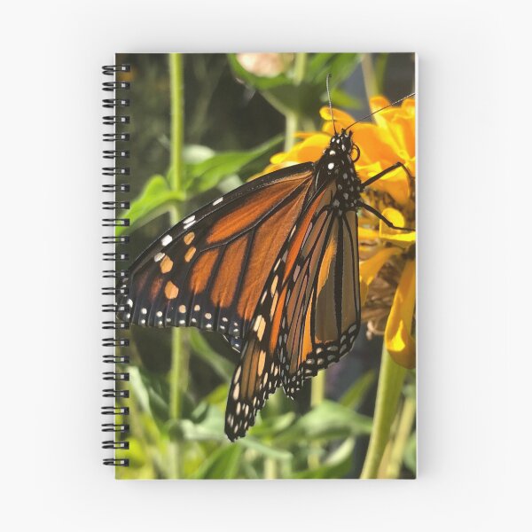 Item preview, Butterflies Are Insects Nature designed and sold by Kaushal Pal.