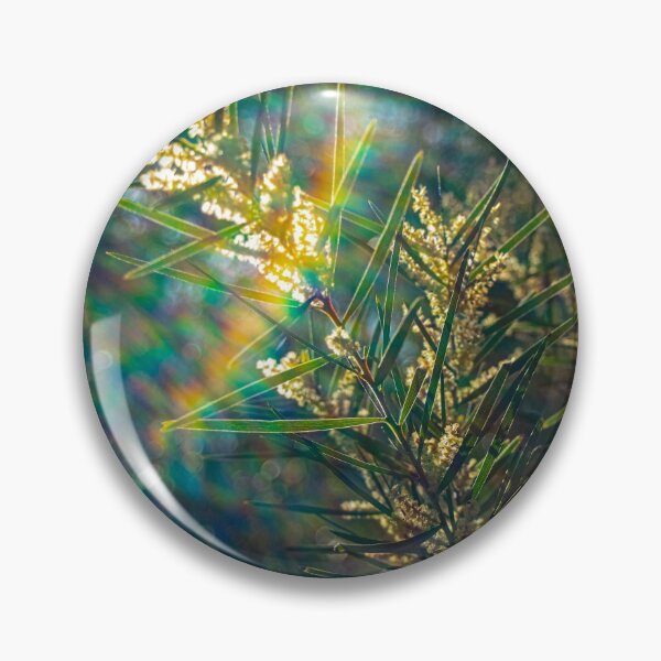 Item preview, Currawang Acacia Tree with Beautiful Rainbow Lens Flare designed and sold by FigTreeMagick.