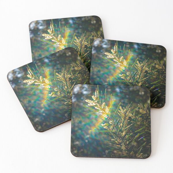 Item preview, Currawang Acacia Tree with Beautiful Rainbow Lens Flare designed and sold by FigTreeMagick.