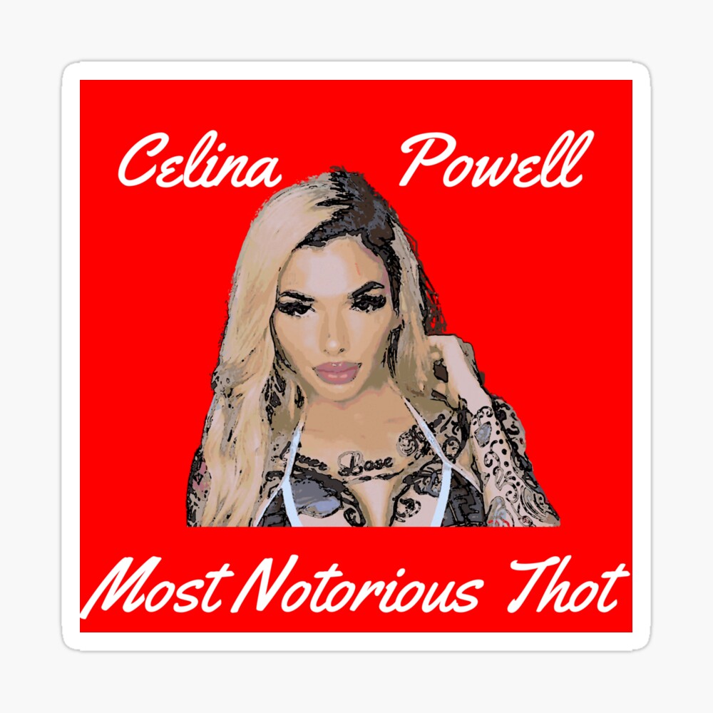 Celina powell dj akademiks