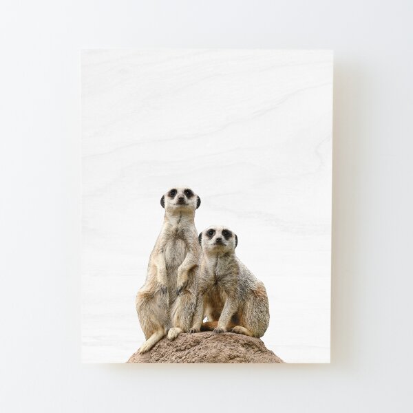 Meerkats Wood Mounted Print