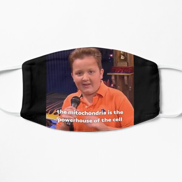 Teacher Gibby - iCarly Flat Mask