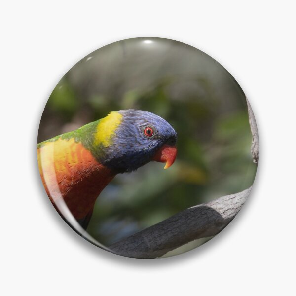 Item preview, Hello There! designed and sold by Marylou Badeaux.