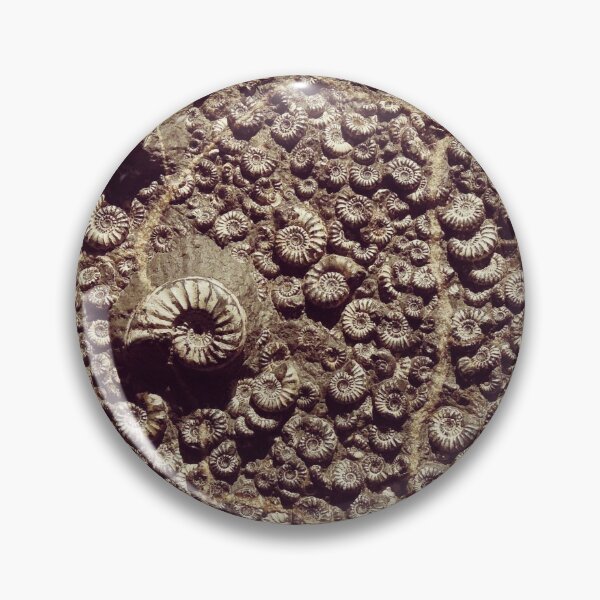 Item preview, Ammonite Fossils Geology Paleontology Science Ammonites designed and sold by PaleoArtistry.