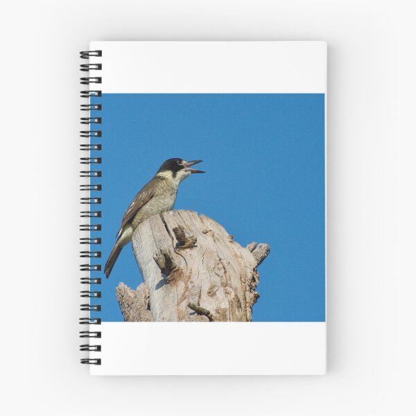 Item preview, Butcher Bird designed and sold by GP1746.