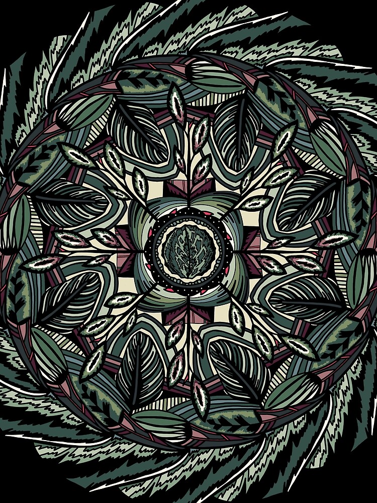 House Plants Mandala by akayeart