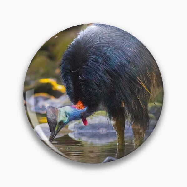 Item preview, Cassowary drinking from a tropical stream designed and sold by Jaykayl.