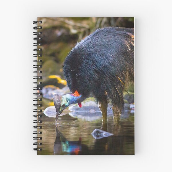 Item preview, Cassowary drinking from a tropical stream designed and sold by Jaykayl.