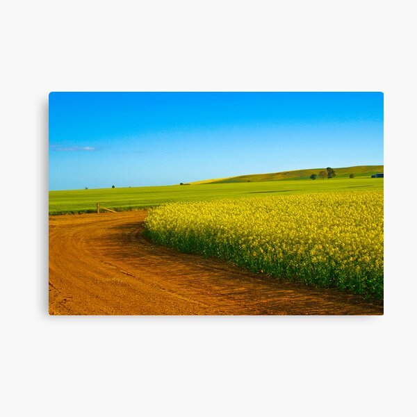 Item preview, Canola Fields Mid North designed and sold by Robert Sturman.
