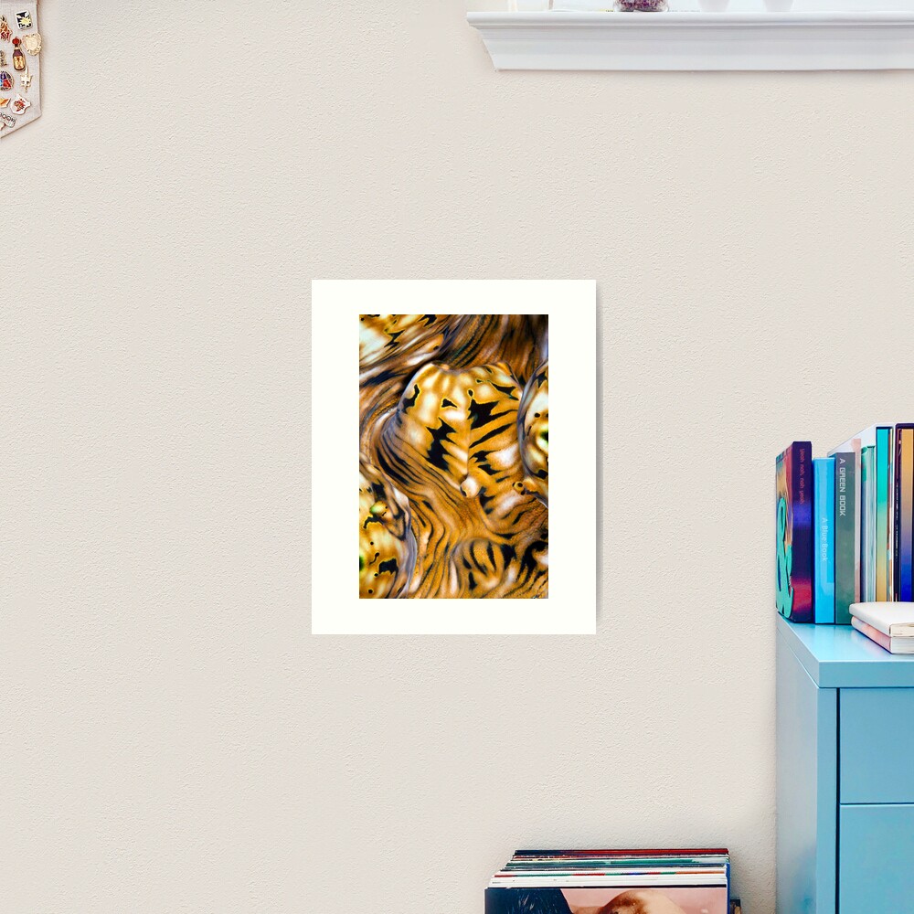 Giant clam paisley Art Print