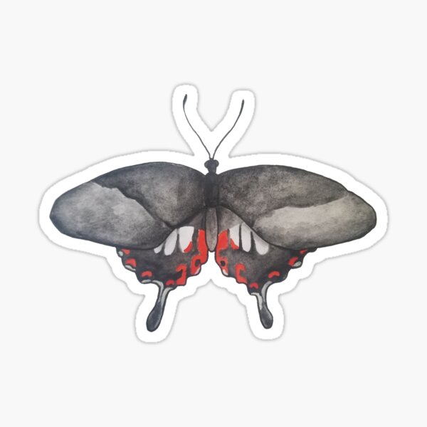 Item preview, Papilio Polytes designed and sold by SkeletalReigns.