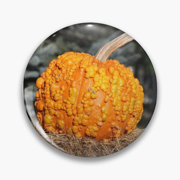 Item preview, The Lumpy Pumpkin designed and sold by Autumn Seas Photography.