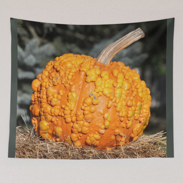Item preview, The Lumpy Pumpkin designed and sold by Autumn Seas Photography.