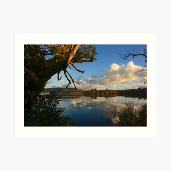 Lough Eske Shore Art Print