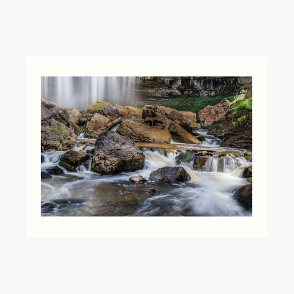 Webster Falls Art Print