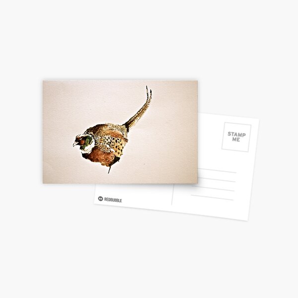Pheasant Watercolour Design Postcard