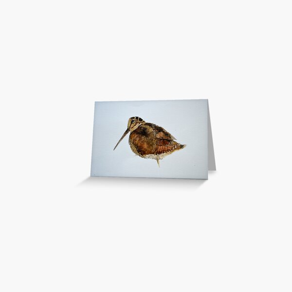 Item preview, Woodcock Watercolour Design  designed and sold by isabellahay7.