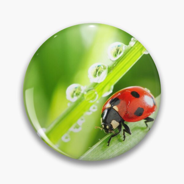 Artikelvorschau, Lady Bug "Viel Glück" entworfen und verkauft von Mind2Line.