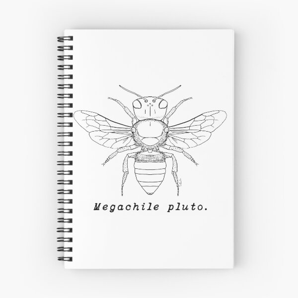 Item preview, Wallace's Giant Bee, Megachile pluto - Black Print designed and sold by BeesScientific.