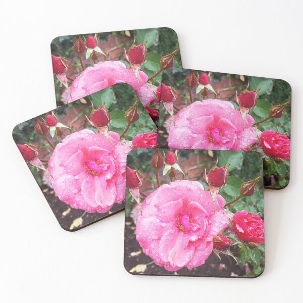 Item preview, Pink Rose Flower Bloom designed and sold by luvvvvvit.