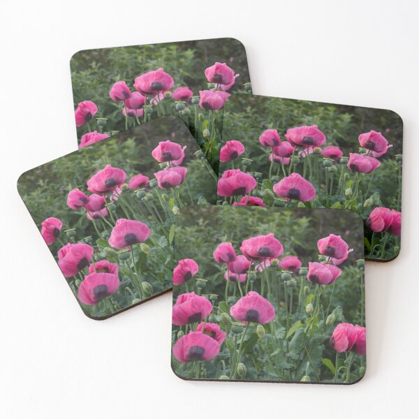 Item preview, Shell Shaped Poppies designed and sold by Georgia Mizuleva.