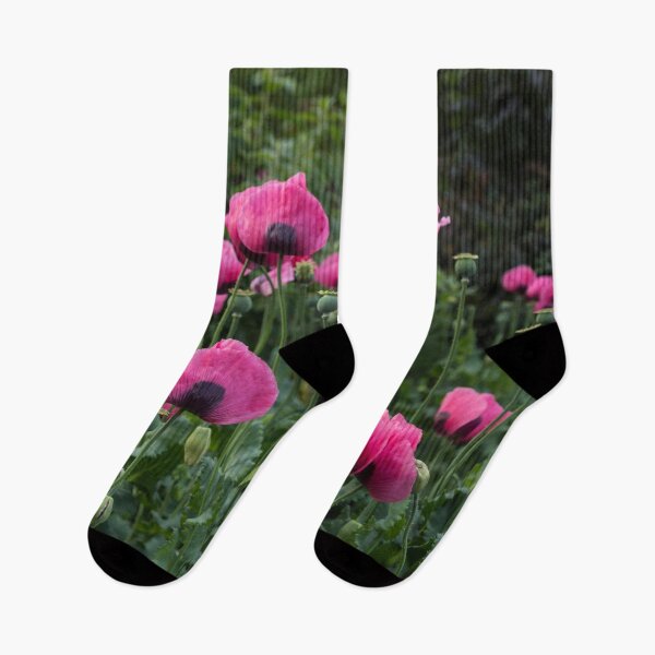 Item preview, Shell Shaped Poppies designed and sold by Georgia Mizuleva.
