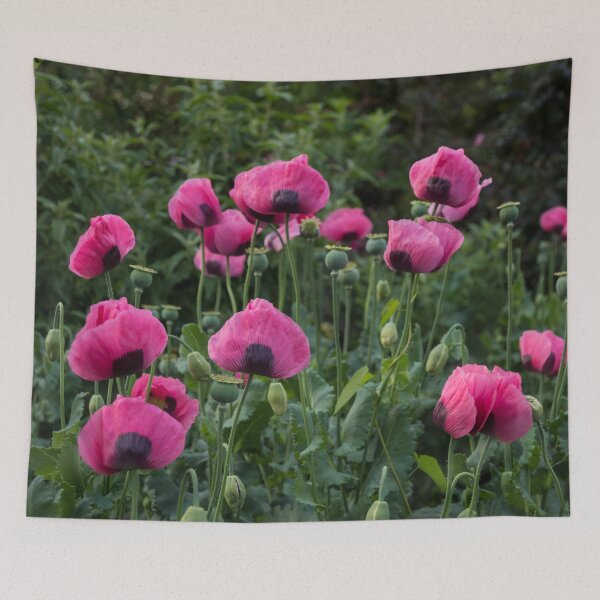 Item preview, Shell Shaped Poppies designed and sold by Georgia Mizuleva.