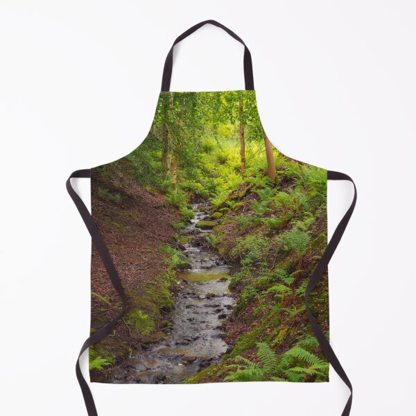 Aperçu de l'œuvre Woodland Stream créée et vendue par HAPhotography.