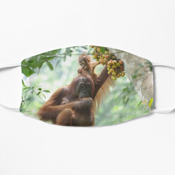 Wild orangutan mother and child in Kalimantan Mask